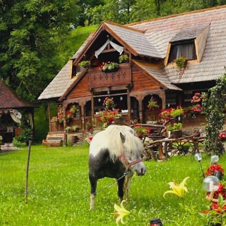 Pensiunea Rustic Oncesti Exterior photo