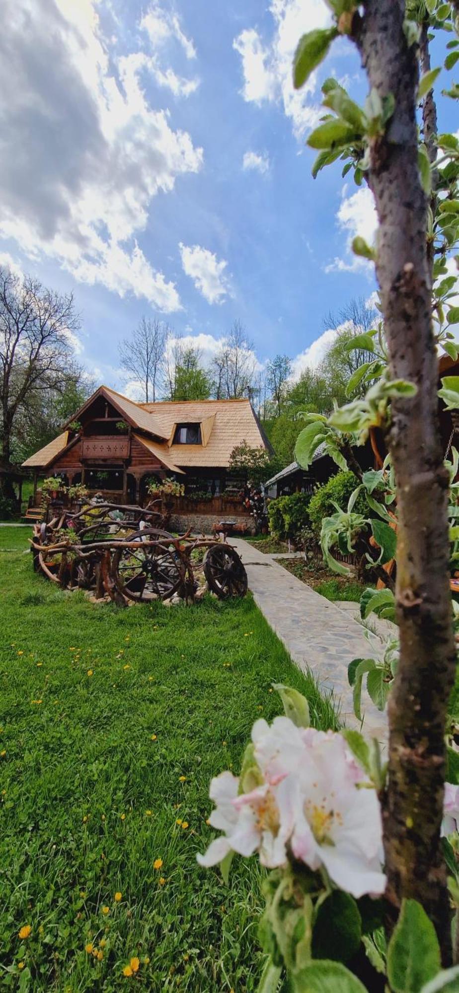 Pensiunea Rustic Oncesti Exterior photo