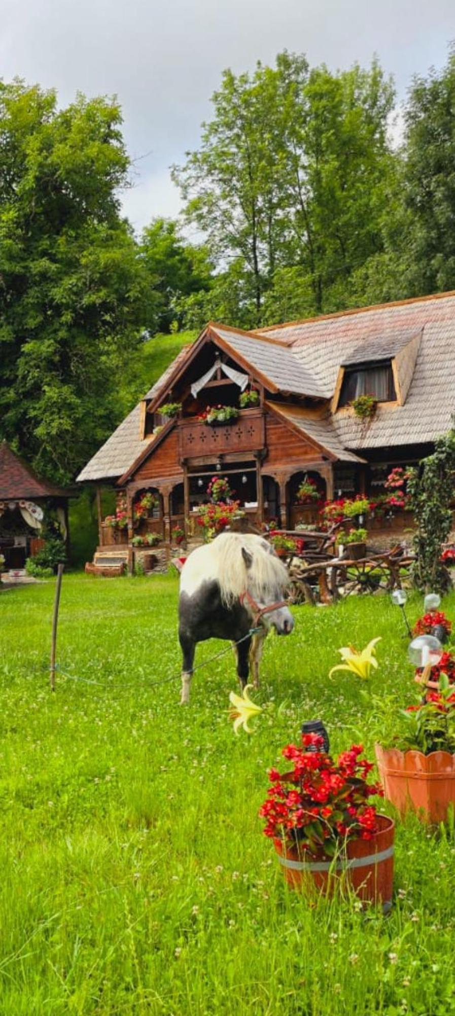 Pensiunea Rustic Oncesti Exterior photo