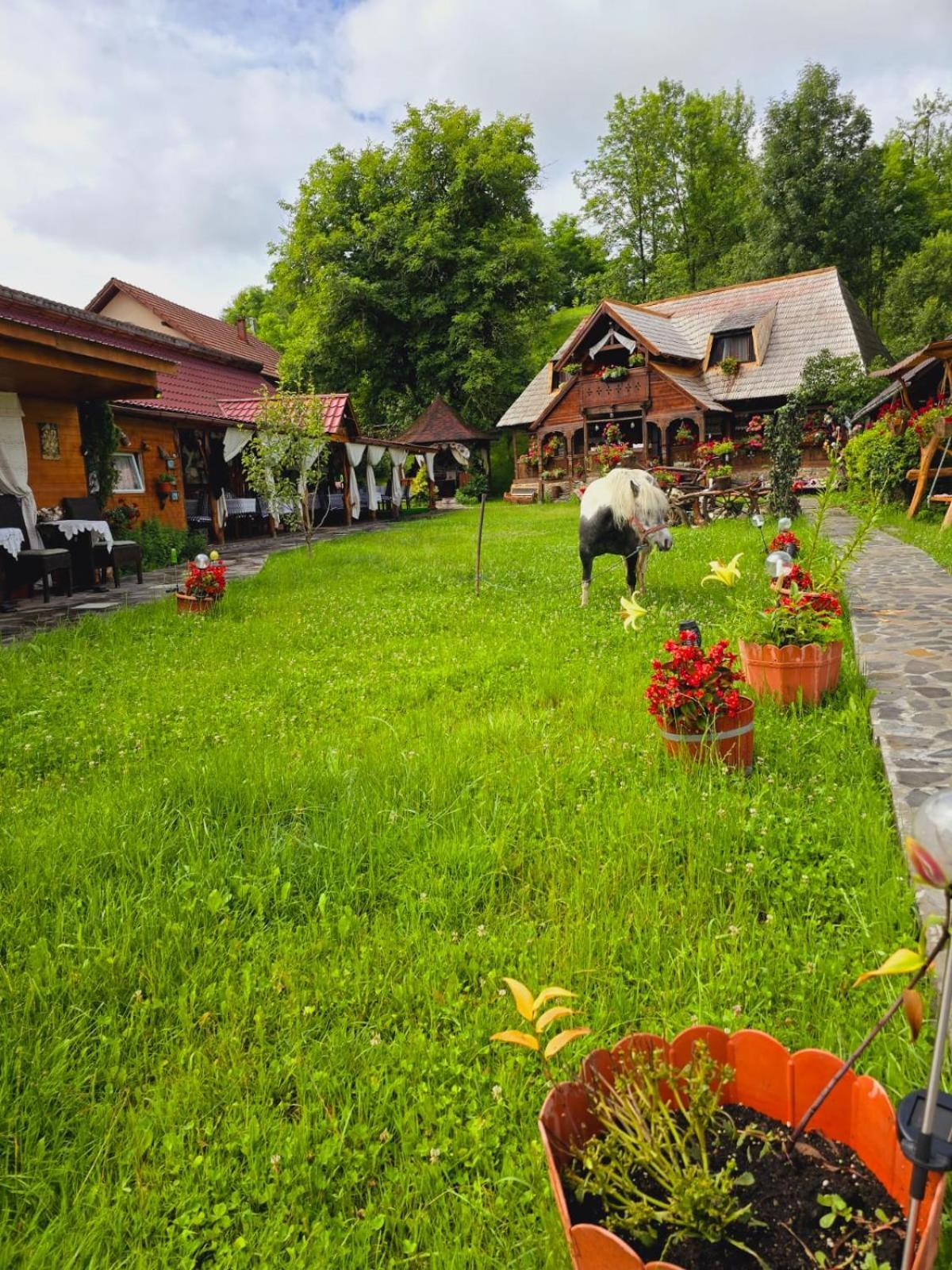 Pensiunea Rustic Oncesti Exterior photo